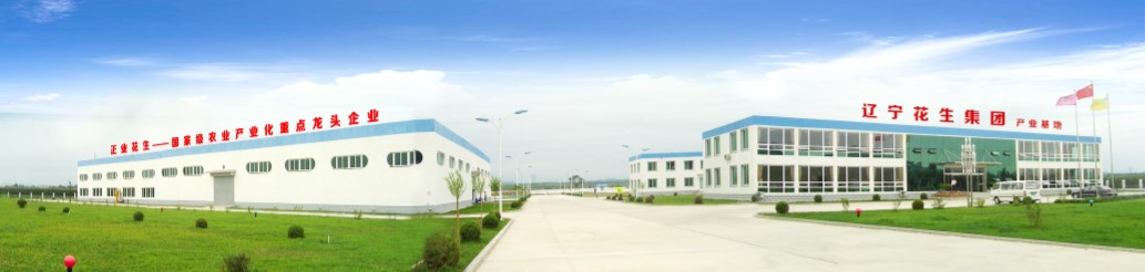 葫蘆島市委常委、副市長(zhǎng)張明謙蒞臨遼寧花生集團(tuán)考察指導(dǎo)(圖3)